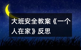 大班安全教案《一个人在家》反思