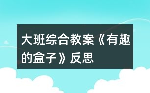 大班综合教案《有趣的盒子》反思